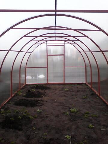 Теплицы с чехлом из армированной плёнки или сотовым поликарбонатом.